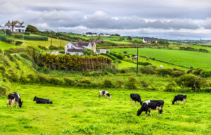 Ireland soil summary land