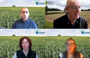optimising sulphur nutrition webinar Q&A