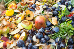optimise anaerobic digestion AD feedstock