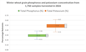 Grain analysis data - winter wheat grain P & K concentration from 2024 samples box graph