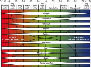 pH graph