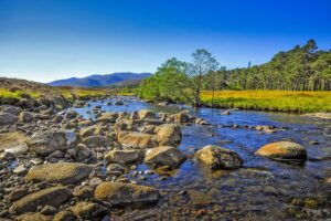 UK river for the Fifth Nitrates Action Programme NAP