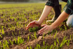 index scale NRM soil summary 2024-25 blog 1
