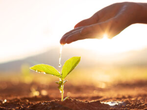 soil summary 2024-2025 water