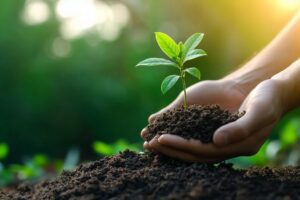 building soil indices NRM soil summary 2024-2025