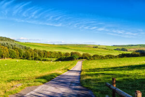the Wales Sustainable Farming Scheme (SFS) - new SOM testing requirements