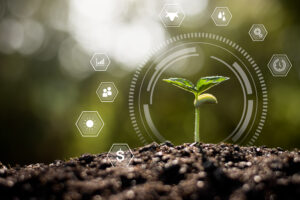 soil testing before spring soil calculations