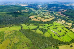 Wales-Sustainable-Farming-Scheme-rolling-hills