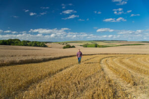 farmer walking through field SFI soil actions