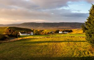 UK farm evolution of the sustainable farming incentive