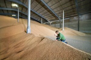invest in grain analysis farmer in grain shed