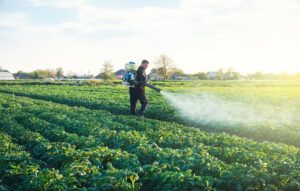 PFAS reach agricultural land through pesticides