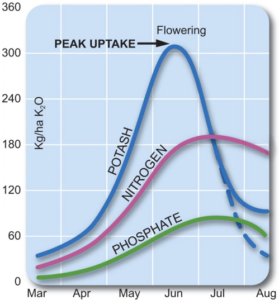 potash cycling uptake graph