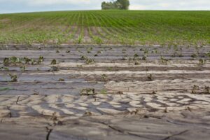 El Niño field changing weather